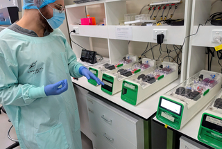 CL1 биокомпьютер