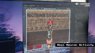 Нейроны играют в Doom